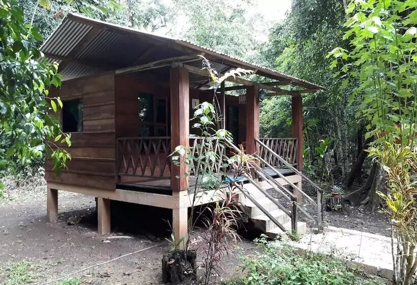 ホテル Cabaña Tu´ur