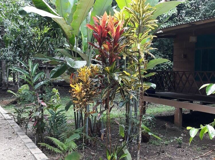 ホテル Cabaña Tu´ur