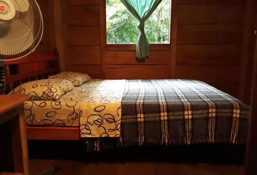 ホテル Cabaña Tu´ur