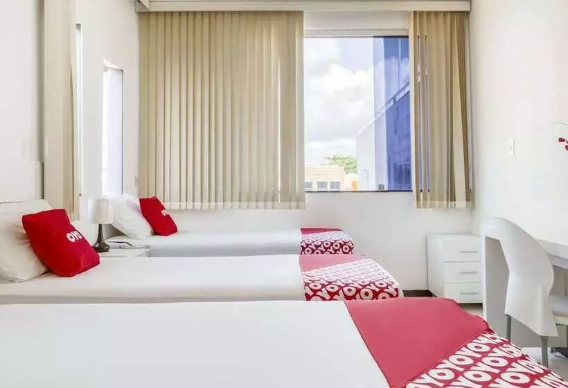 ホテル Stella Maris Praia