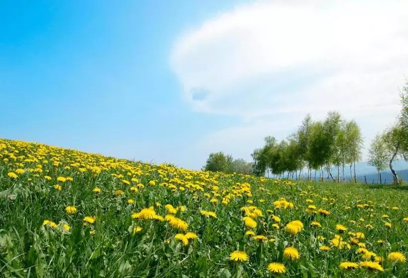 Hotelli Gastwirtschaft Hold