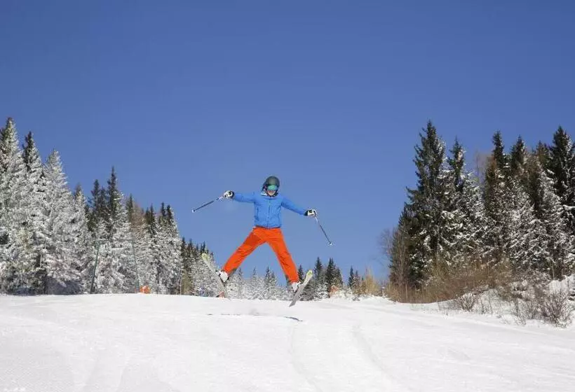 Hotelli Gastwirtschaft Hold