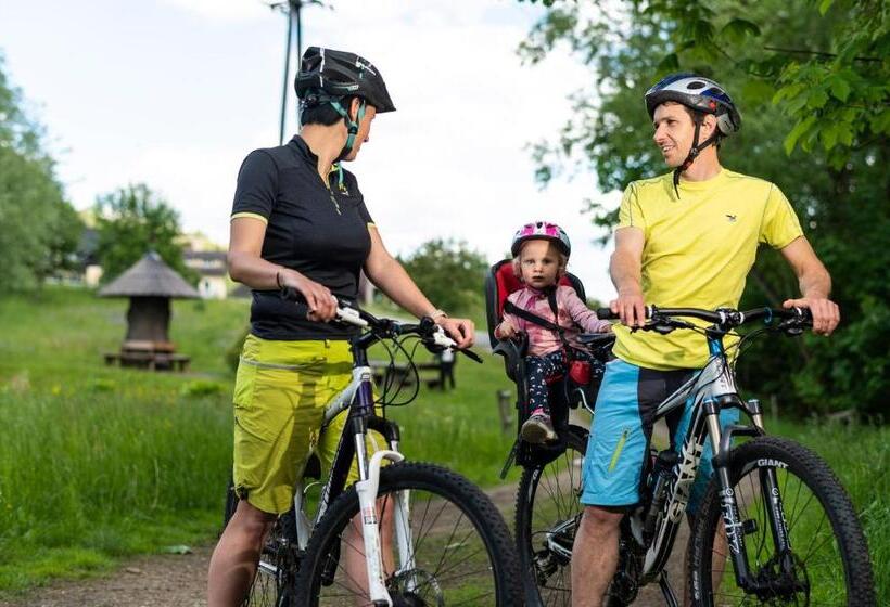 Отель Gastwirtschaft Hold