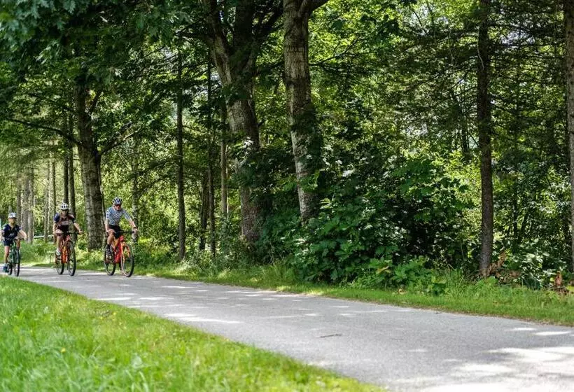 Hotelli Gastwirtschaft Hold