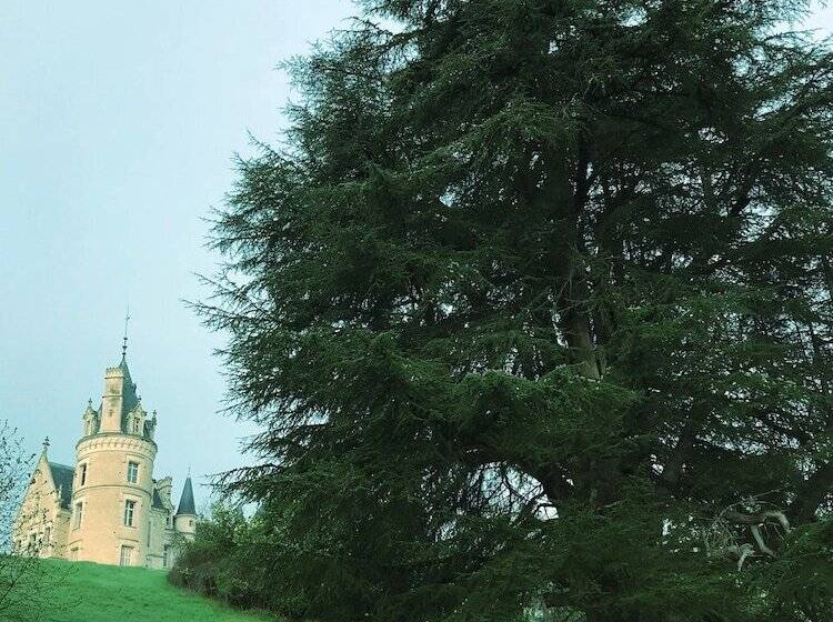 بنسيون Château Des Chevaliers De Londigny