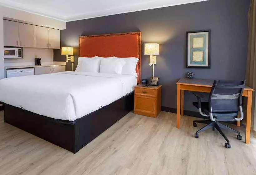 ホテル La Quinta Inn & Suites By Wyndham Kingsport Tricities Airport