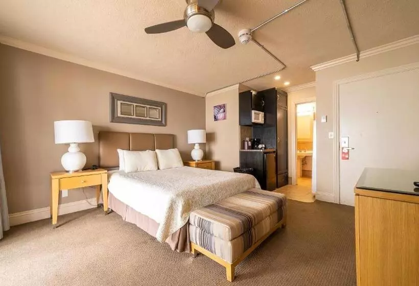 리조트 Laguna Surf Lodge By Scp Hotels