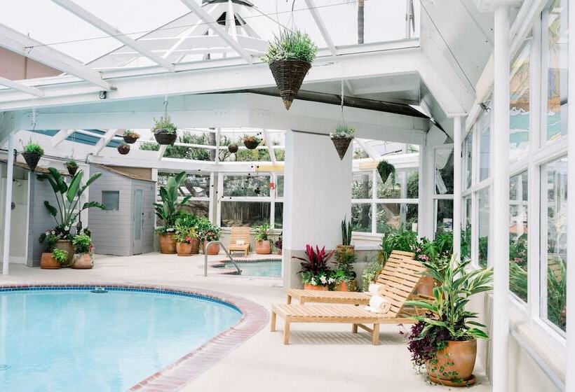 리조트 Laguna Surf Lodge By Scp Hotels