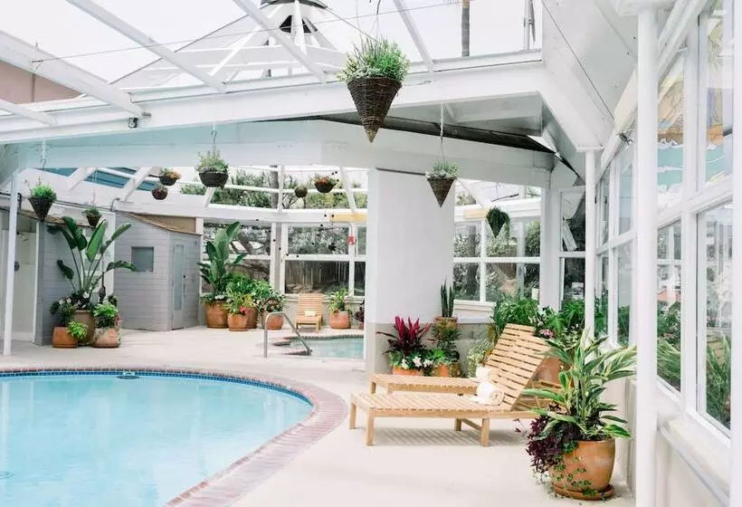 리조트 Laguna Surf Lodge By Scp Hotels