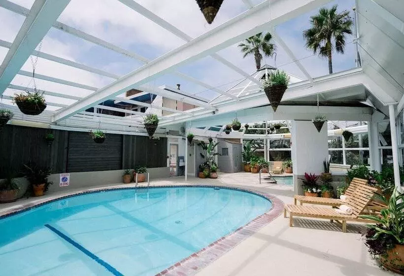 리조트 Laguna Surf Lodge By Scp Hotels