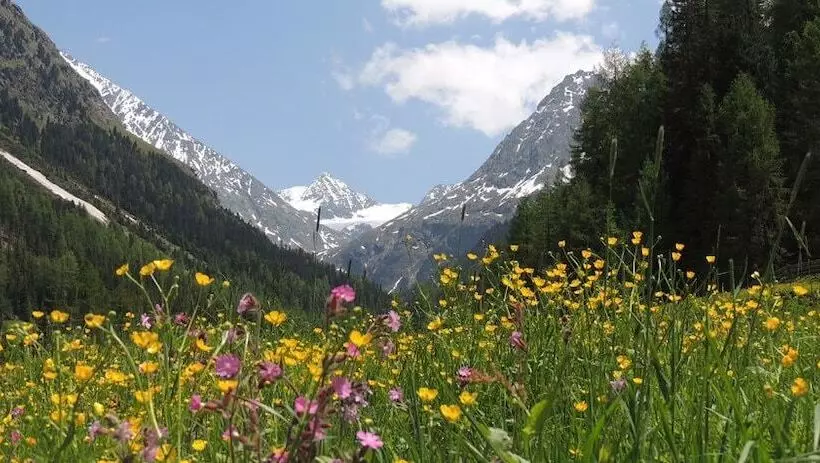 Hotelli Pension Winnebach