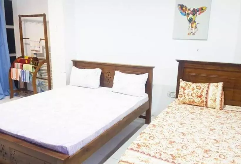 هاستل Beehive Colombo