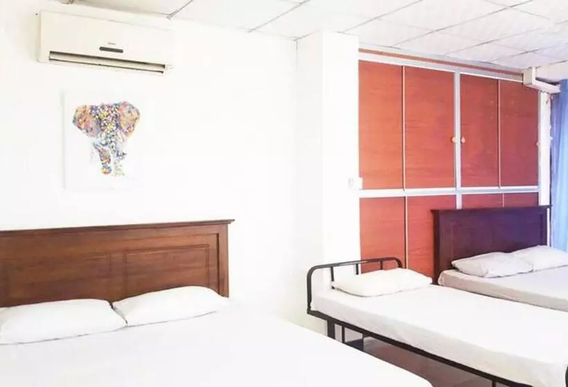 هاستل Beehive Colombo