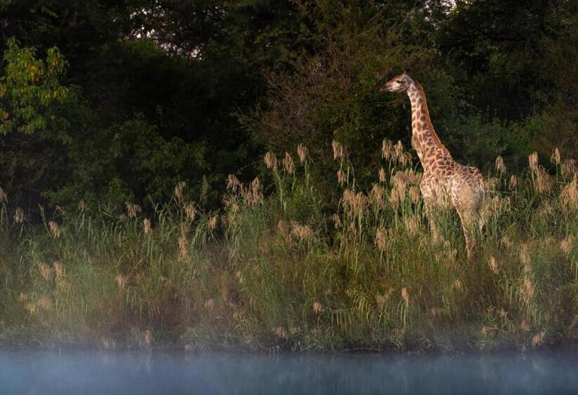 ホテル Abelana River Lodge