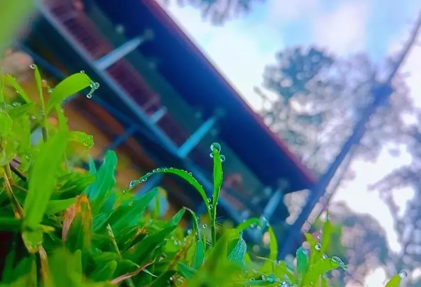 ペンション Ella Hillsite View