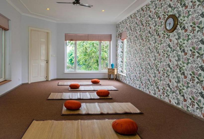 Hotel Blusalzz Collection   Siddha Wellness Village, Faridabad   Haryana