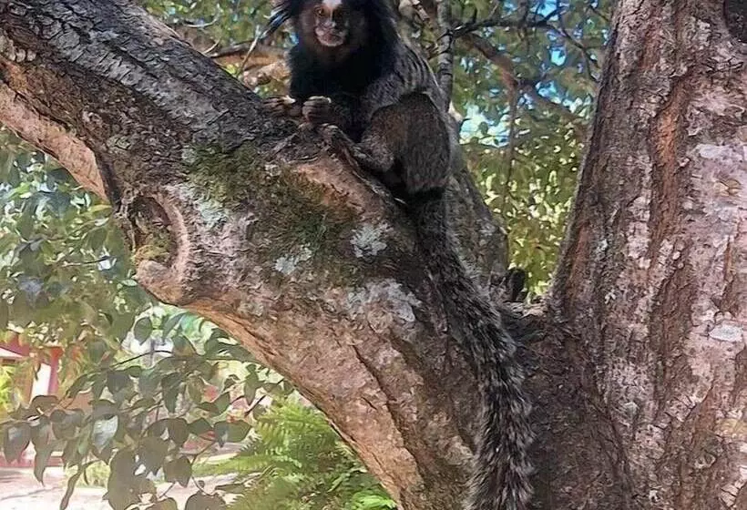 ペンション Pousada Pontal Do Lago