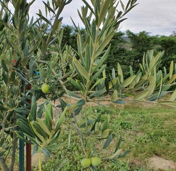 בית מלון כפרי Astei Nekazalturismoa