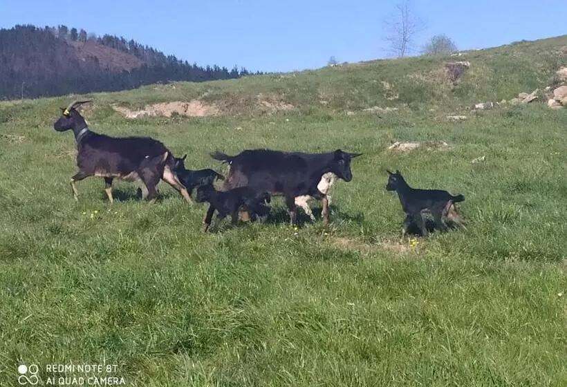 هتل Astei Nekazalturismoa