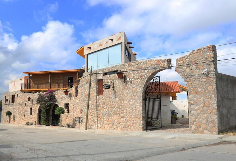 Отель Boutique Jayco