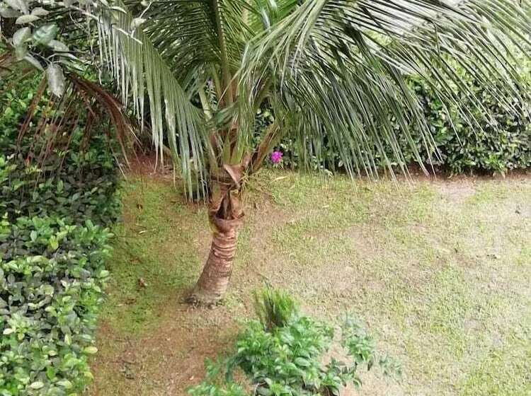 Отель Ecocabañas Manguare