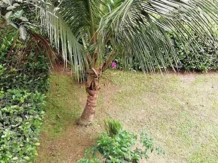 Hotelli Ecocabañas Manguare