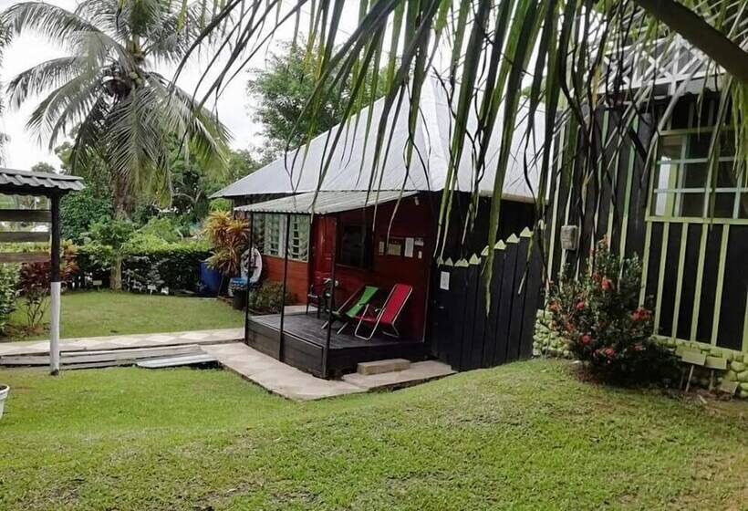 Отель Ecocabañas Manguare