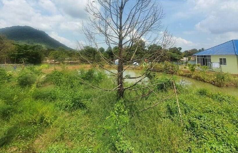 فندق Panorama Mountain Resort