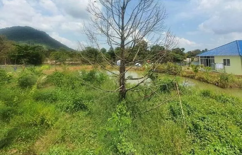 هتل Panorama Mountain Resort