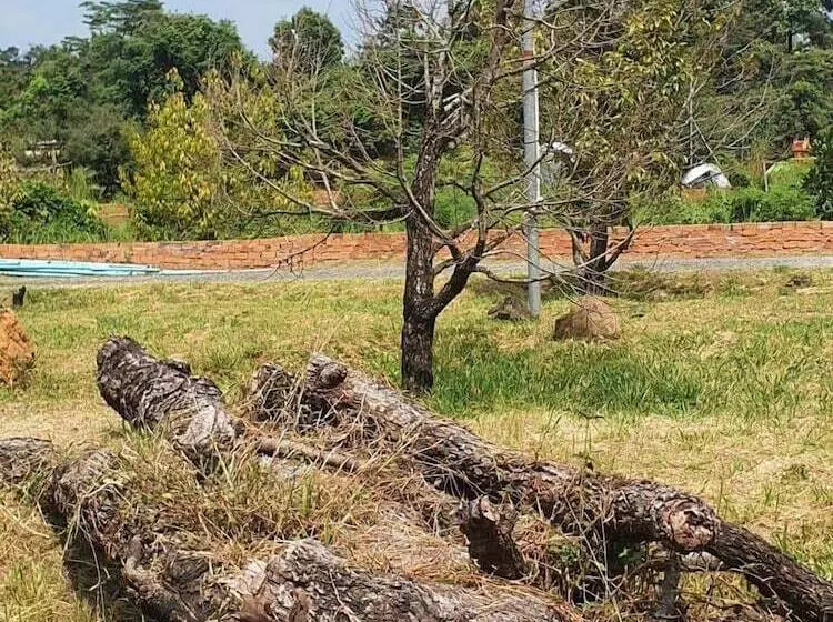 هتل Panorama Mountain Resort