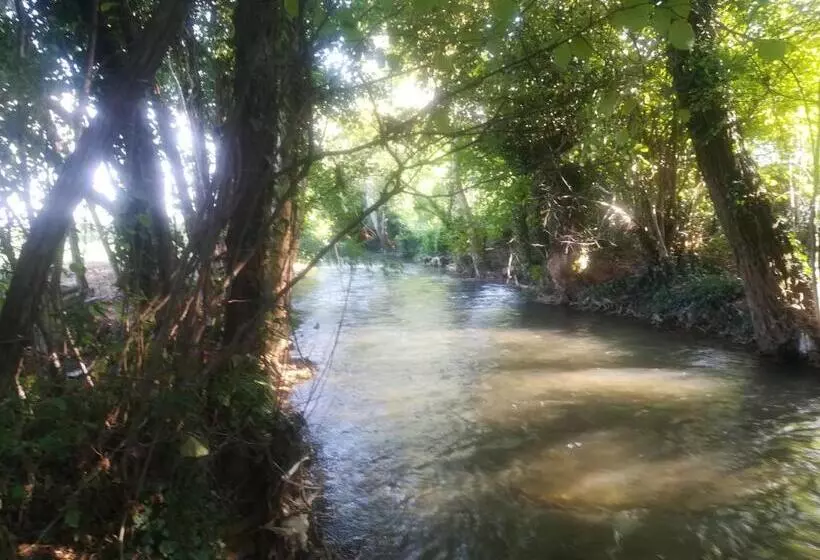 ベッドアンドブレックファースト La Libellula