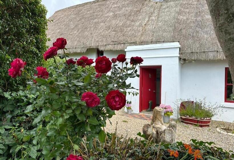 مبيت وإفطار Quay House