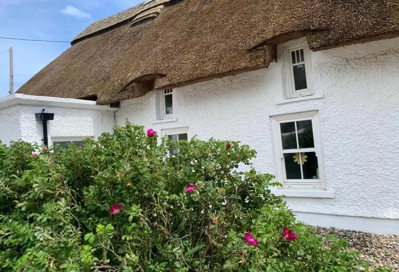 ベッドアンドブレックファースト Quay House