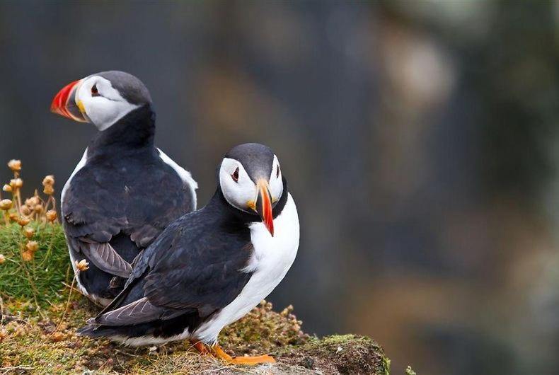 مبيت وإفطار Quay House