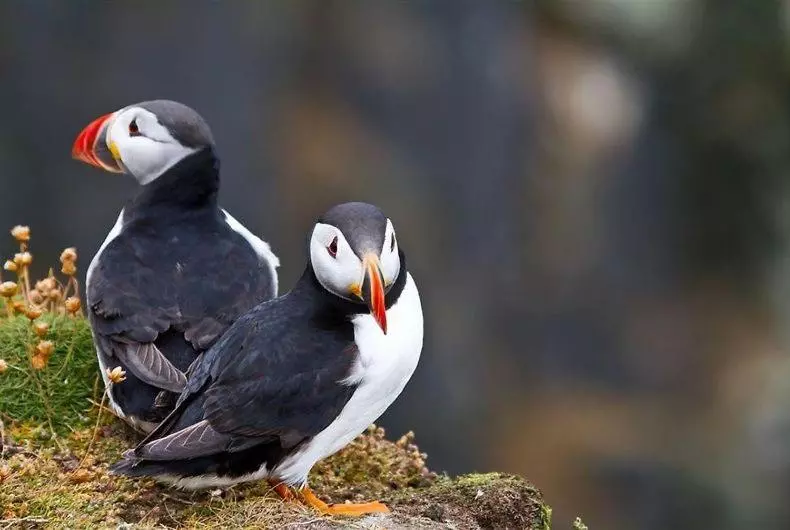 ベッドアンドブレックファースト Quay House