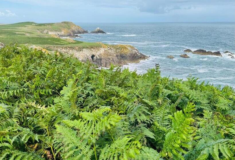 مبيت وإفطار Quay House