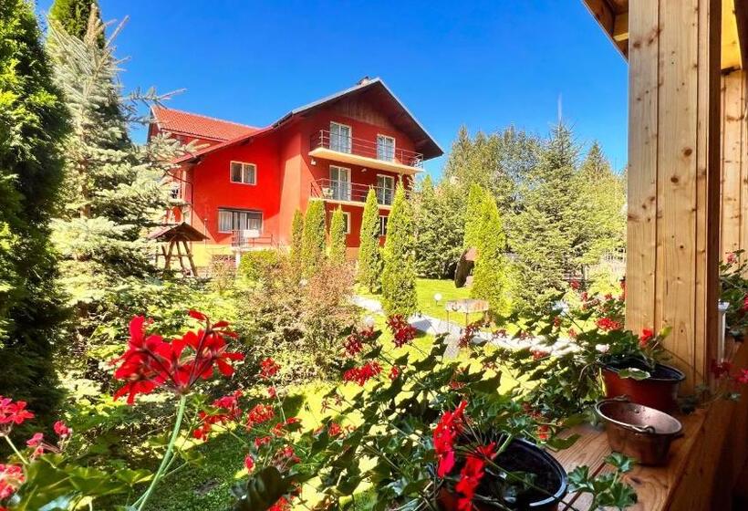 پانسیون Top Mountain