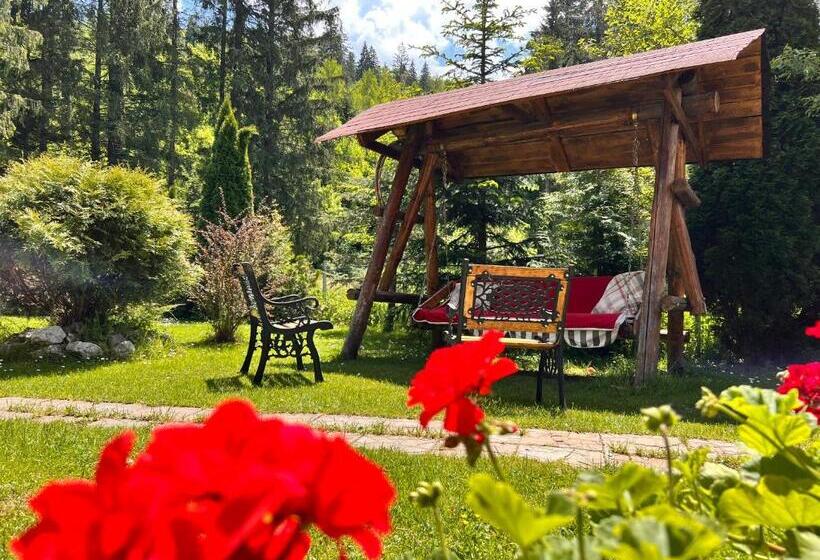 پانسیون Top Mountain