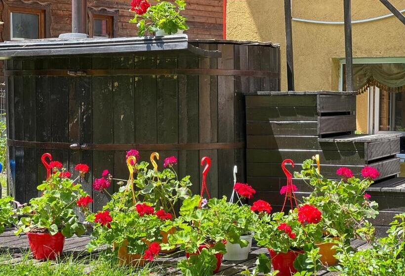 پانسیون Top Mountain