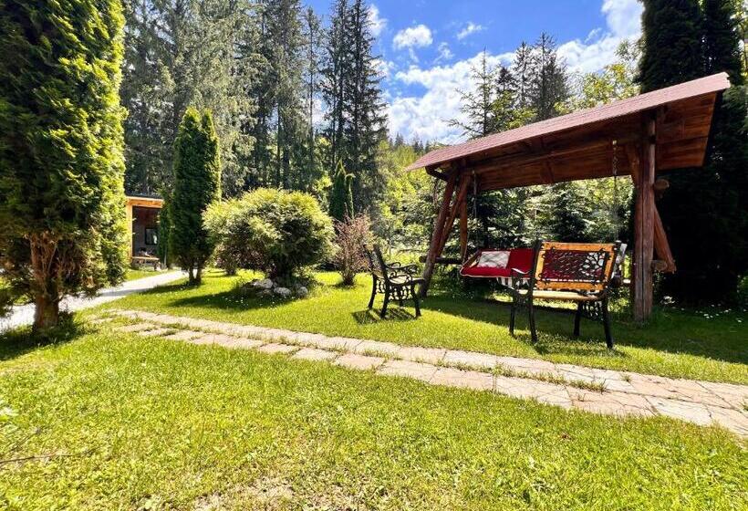 پانسیون Top Mountain