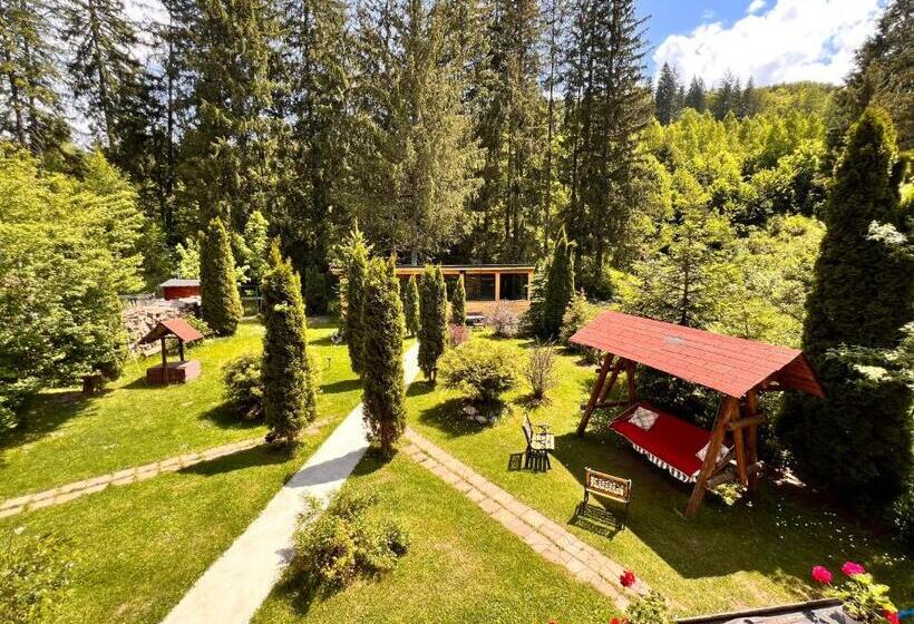 پانسیون Top Mountain