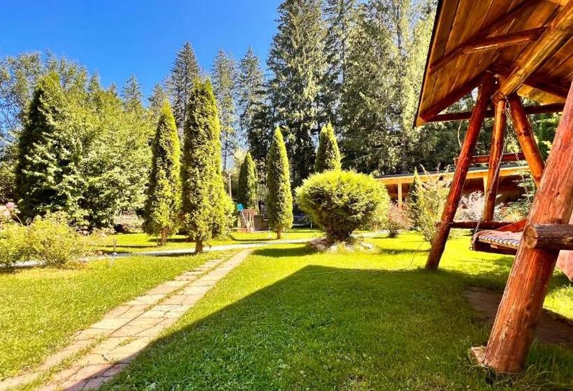 پانسیون Top Mountain