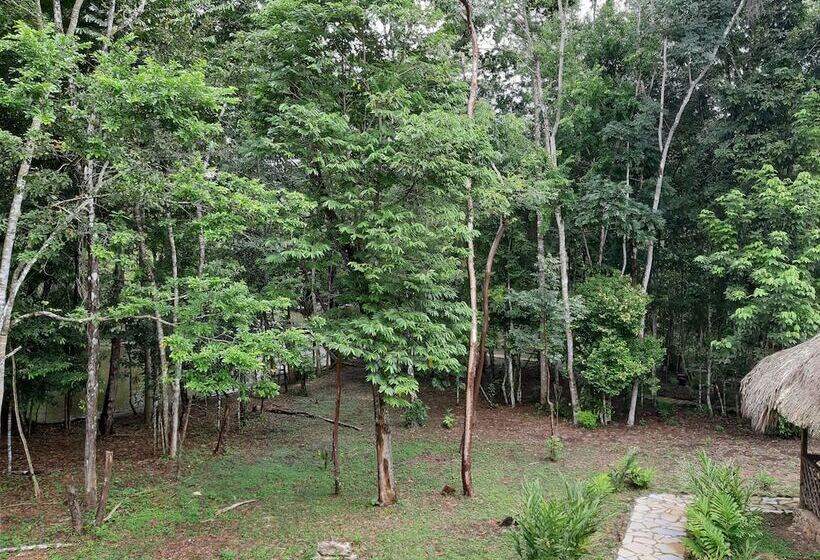 فندق Campamento Lacandones