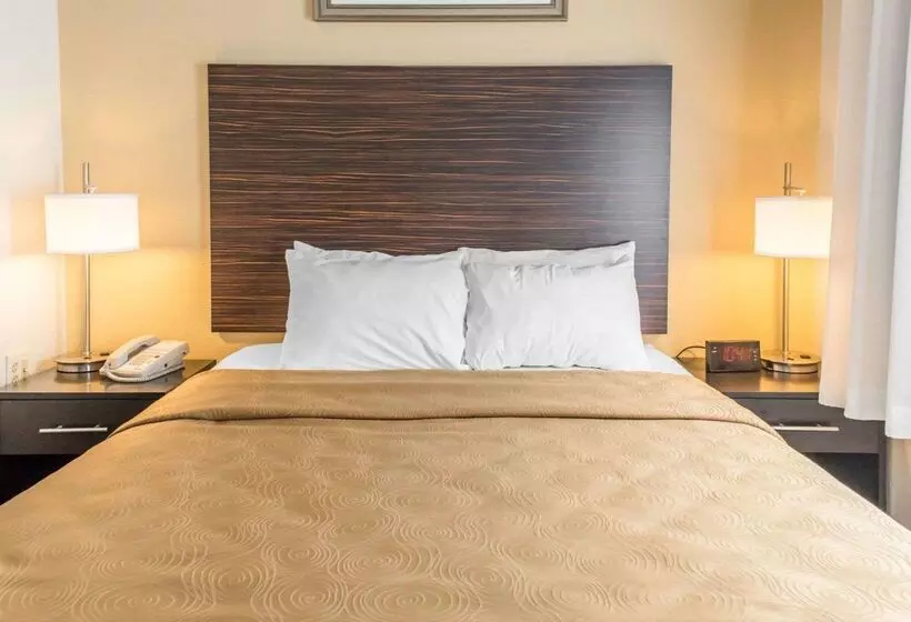 ホテル Mainstay Suites Pittsburgh Airport