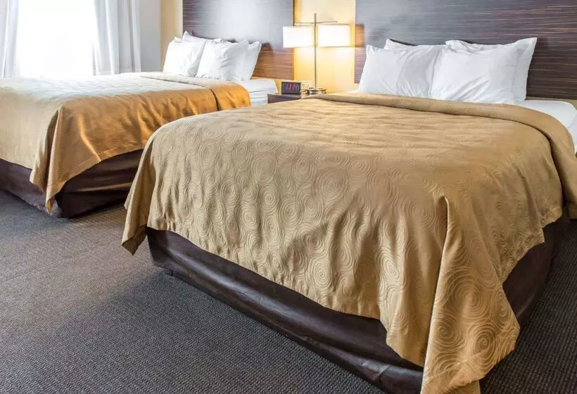 ホテル Mainstay Suites Pittsburgh Airport