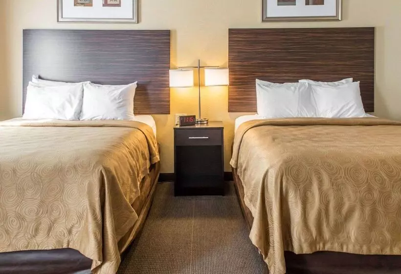 ホテル Mainstay Suites Pittsburgh Airport