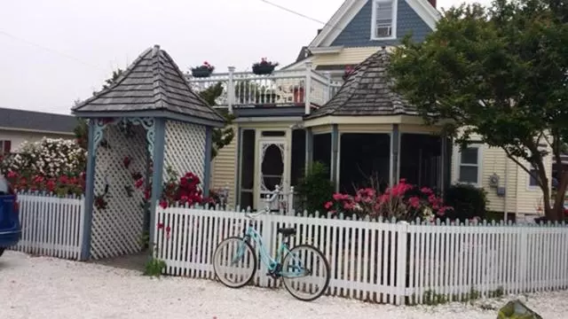 هتل Miss Molly's Inn