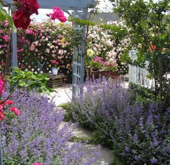 هتل Miss Molly's Inn