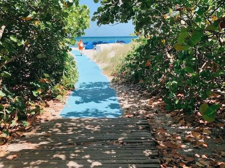 酒店 Opal Grand Oceanfront Resort & Spa