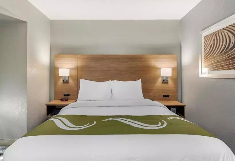 Hotelli Quality Inn Downtown  Near Market Square